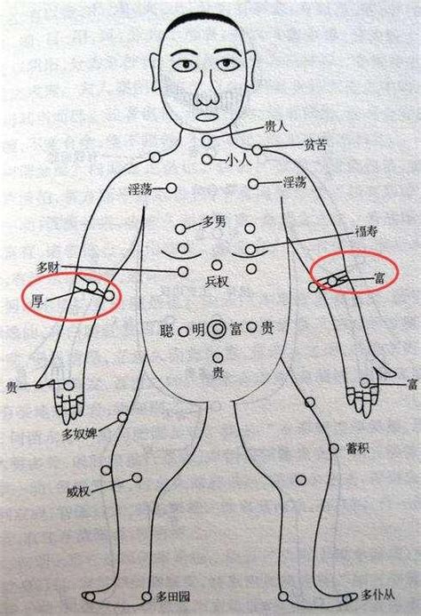 左手臂内侧有痣|胳膊上有痣代表什么 胳膊不同位置痣相解析——天玄网